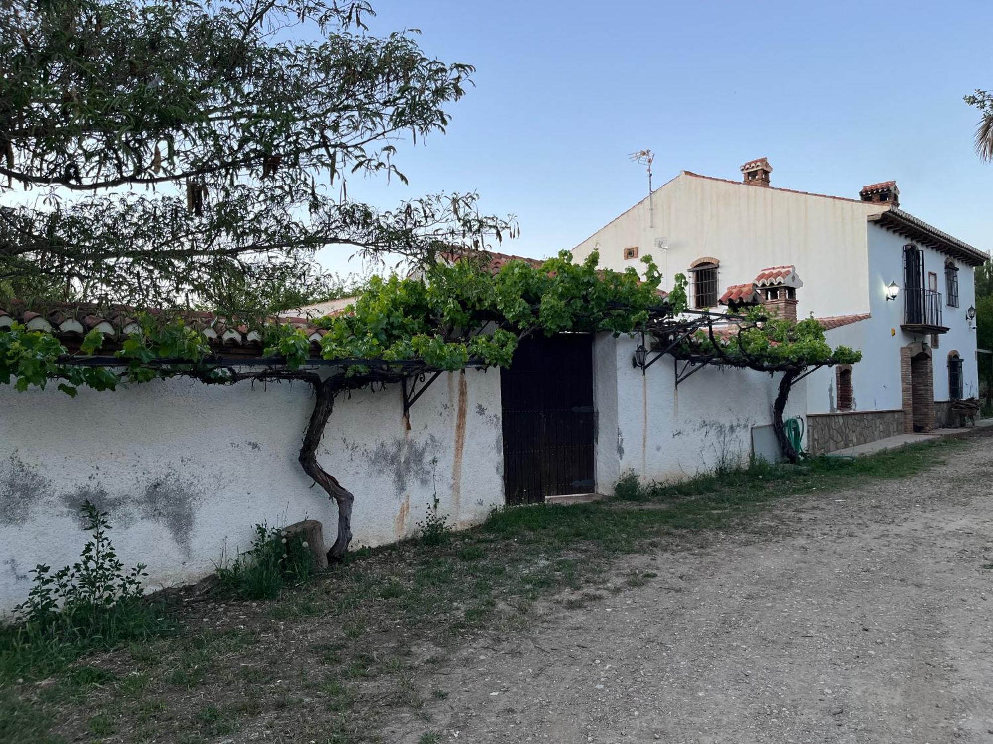 הוילה גואדיקס Cortijo Don Meliton מראה חיצוני תמונה