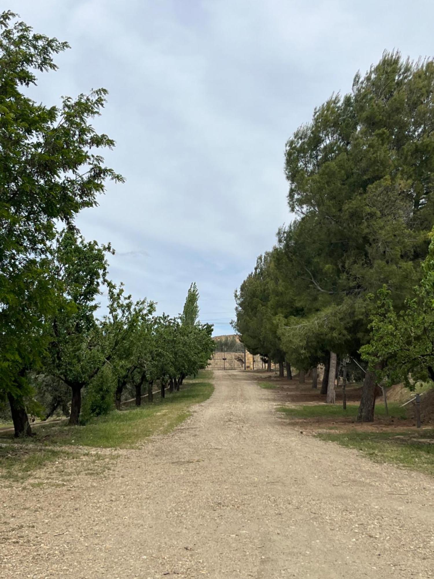 הוילה גואדיקס Cortijo Don Meliton מראה חיצוני תמונה